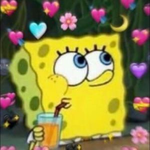 Meet your Posher, Bella